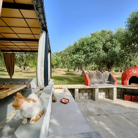 Appartement Pigasos *